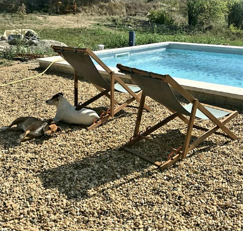 Bastide Bellugue Reseau Bienvenue A La Ferme A 3 Minutes De Lourmarin Frühstückspension