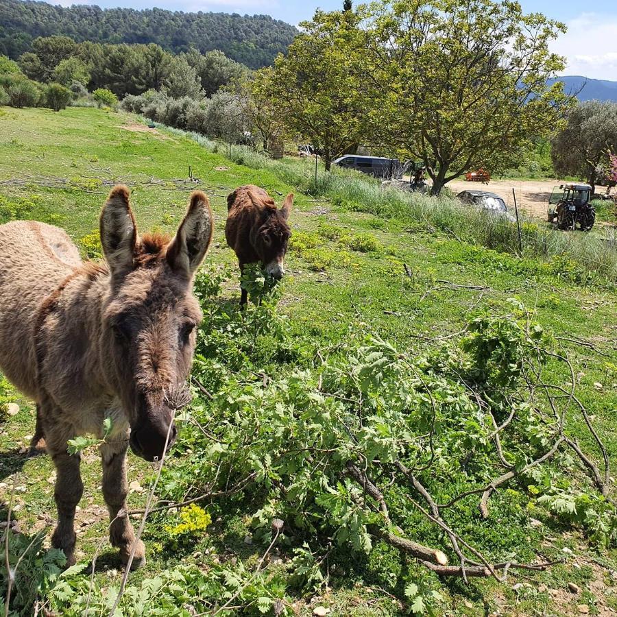 Frühstückspension Bastide Bellugue Reseau Bienvenue A La Ferme A 3 Minutes De Lourmarin *