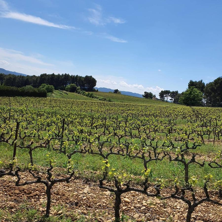 Bastide Bellugue Reseau Bienvenue A La Ferme A 3 Minutes De Lourmarin Frühstückspension *
