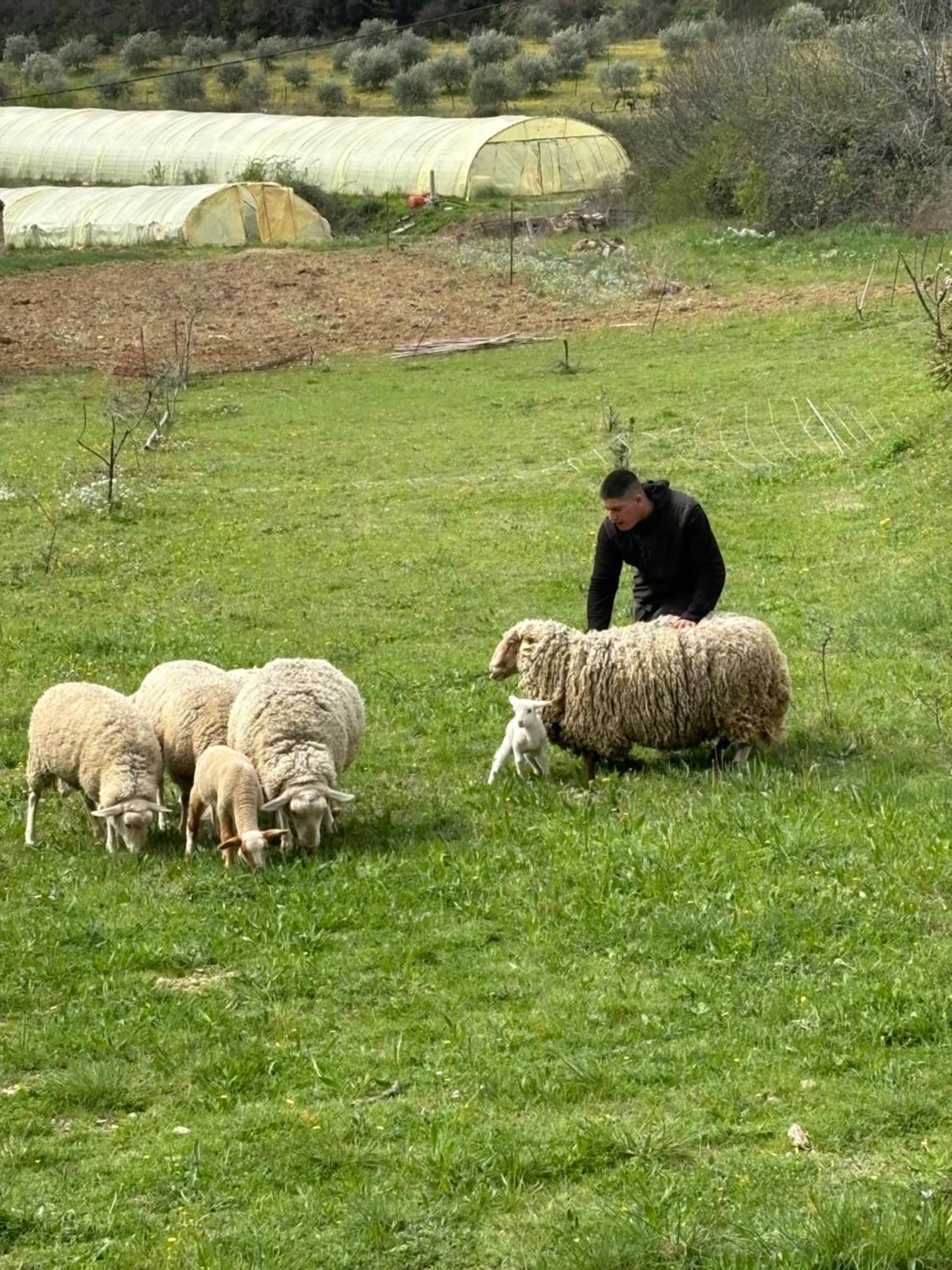 Bastide Bellugue Reseau Bienvenue A La Ferme A 3 Minutes De Lourmarin Frühstückspension