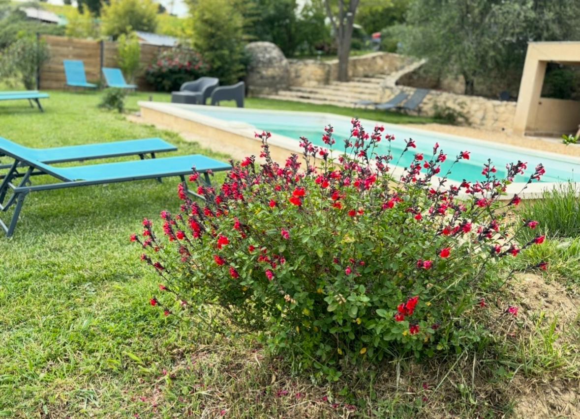 Bastide Bellugue Reseau Bienvenue A La Ferme A 3 Minutes De Lourmarin *