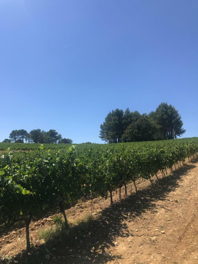 Bastide Bellugue Reseau Bienvenue A La Ferme A 3 Minutes De Lourmarin *
