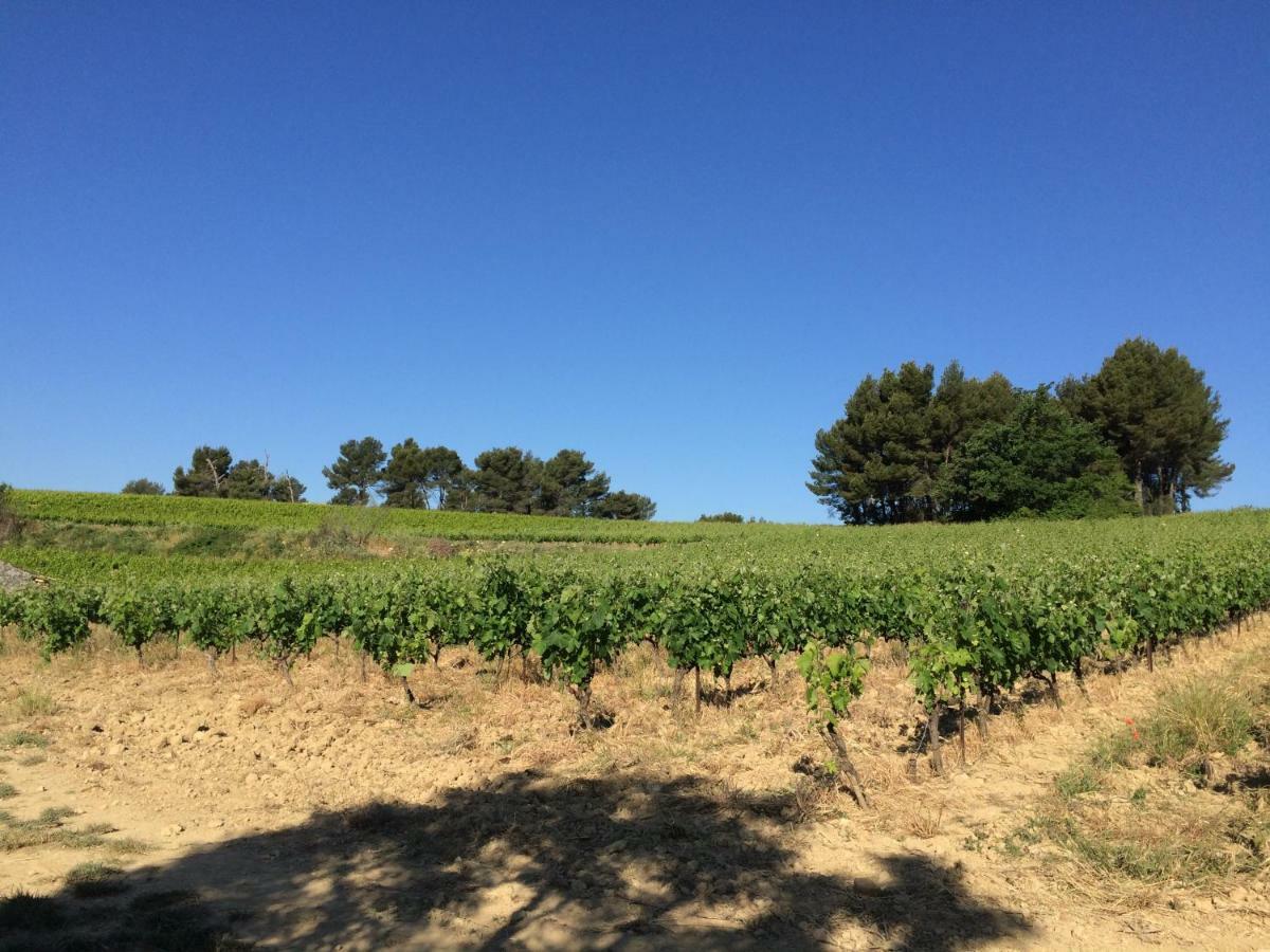 Bastide Bellugue Reseau Bienvenue A La Ferme A 3 Minutes De Lourmarin Frühstückspension Cadenet
