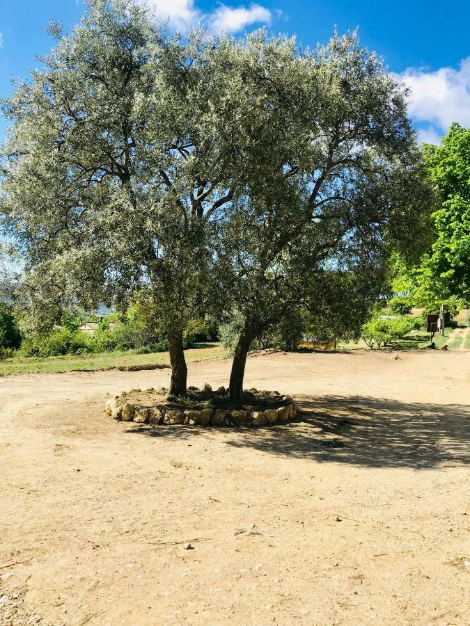 Bastide Bellugue Reseau Bienvenue A La Ferme A 3 Minutes De Lourmarin Frühstückspension *