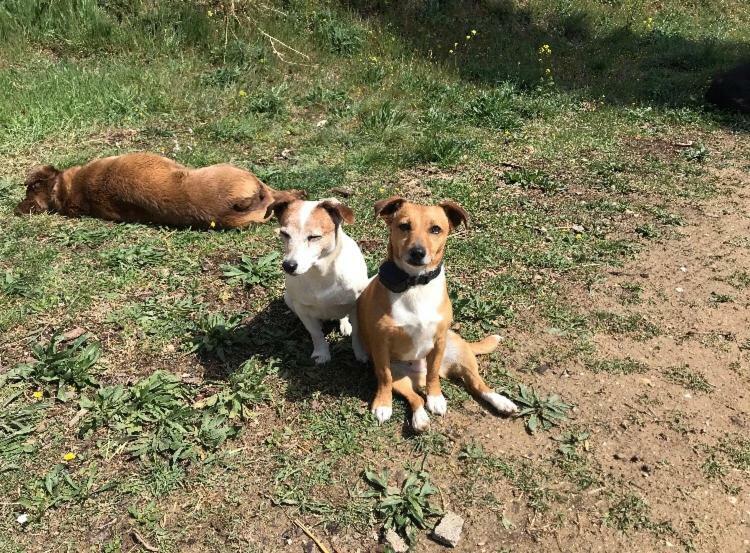 Bastide Bellugue Reseau Bienvenue A La Ferme A 3 Minutes De Lourmarin *